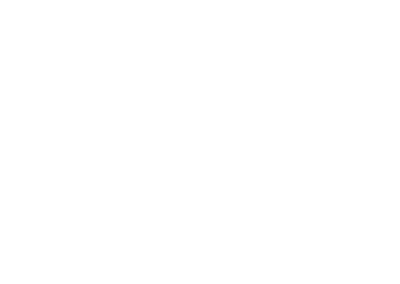 Festival Delle Generazioni